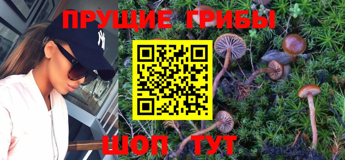 Галлюциногенные грибы MAGIC MUSHROOMS Канск