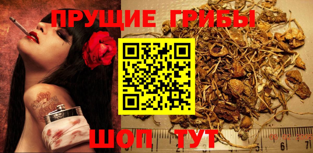 Псилоцибиновые грибы GOLDEN TEACHER  Вход с VPN  Канск  Галлюциногенные грибы ЛСД 